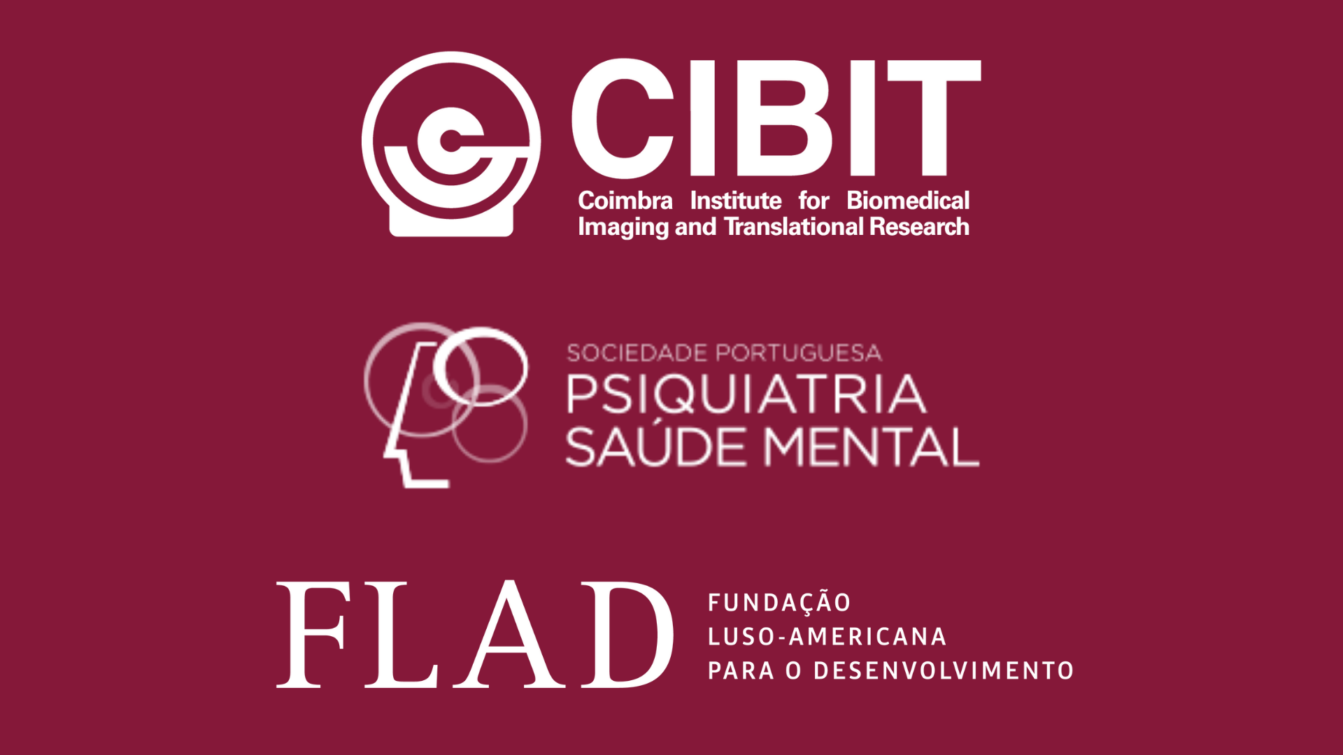 Cibit Conheça a equipa responsável pela organização científica e logística!
