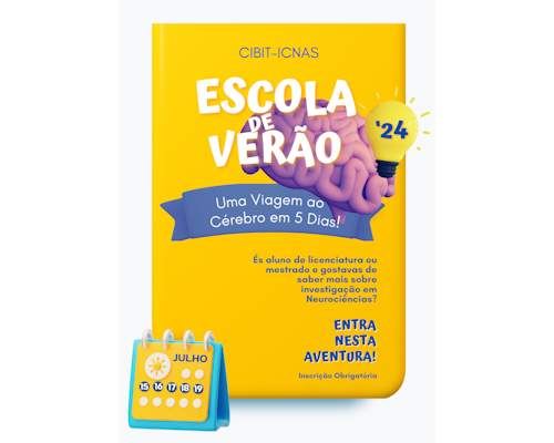 poster da edição de 2024 da Escola de Verão CIBIT ICNAS
