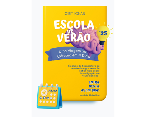 poster da edição de 2025 da Escola de Verão CIBIT ICNAS